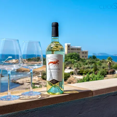 Valencia Penthouse With Spectacular Beachfront Terraces Wifi, Air Conditioning, Close To Beaches